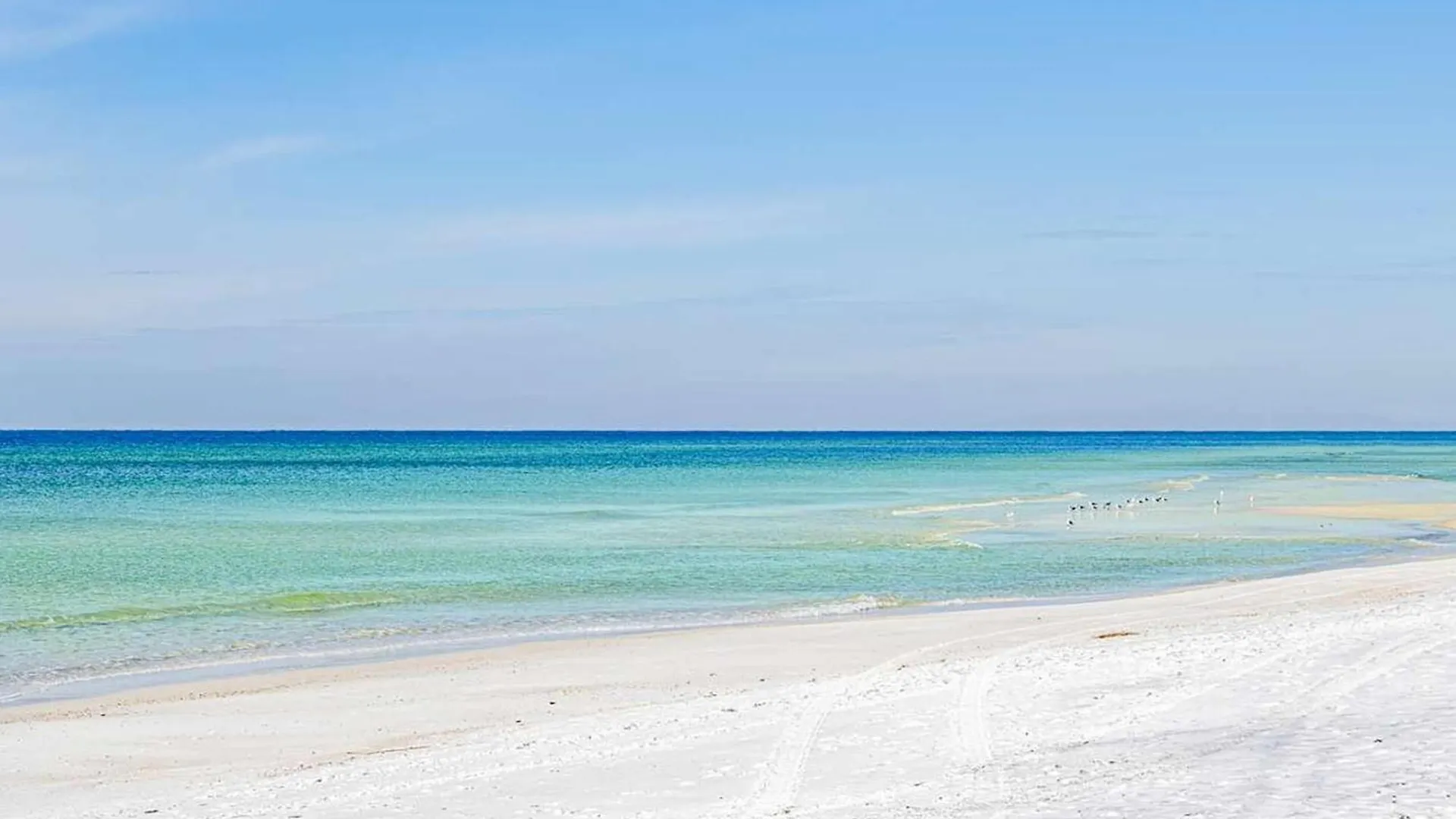 Majestic Beach Towers 1-1803 Panama City Beach 0*,  United States